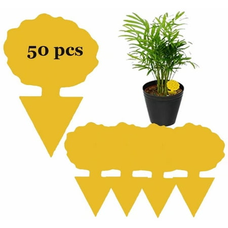 50 Pcs Sticky Traps for Fruit Fly  Whitefly  Fungus Gnat  Mosquito and Bug  Yellow Sticky Insect Catcher Traps for Indoor/Outdoor/Kitchen  Extremely Sticky Fly Trap  Non-Toxic(Banyan tree)