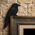 thumbnail image 6 of Diceymbol 9 Inch Wooden Raven Door Topper, Handcrafted Realistic Black Bird Corner Decor for Door Frames Shelves and Picture Frame Corners, Gift for Bird Lovers, 6 of 6