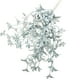 thumbnail image 1 of Flores De Colores Para Horquilla, Orquídea Pequeña De Ensueño, Decoración Para Muebles, Flores Para Suelo, Flores Para Hotel, Material Floral C, 1 of 7