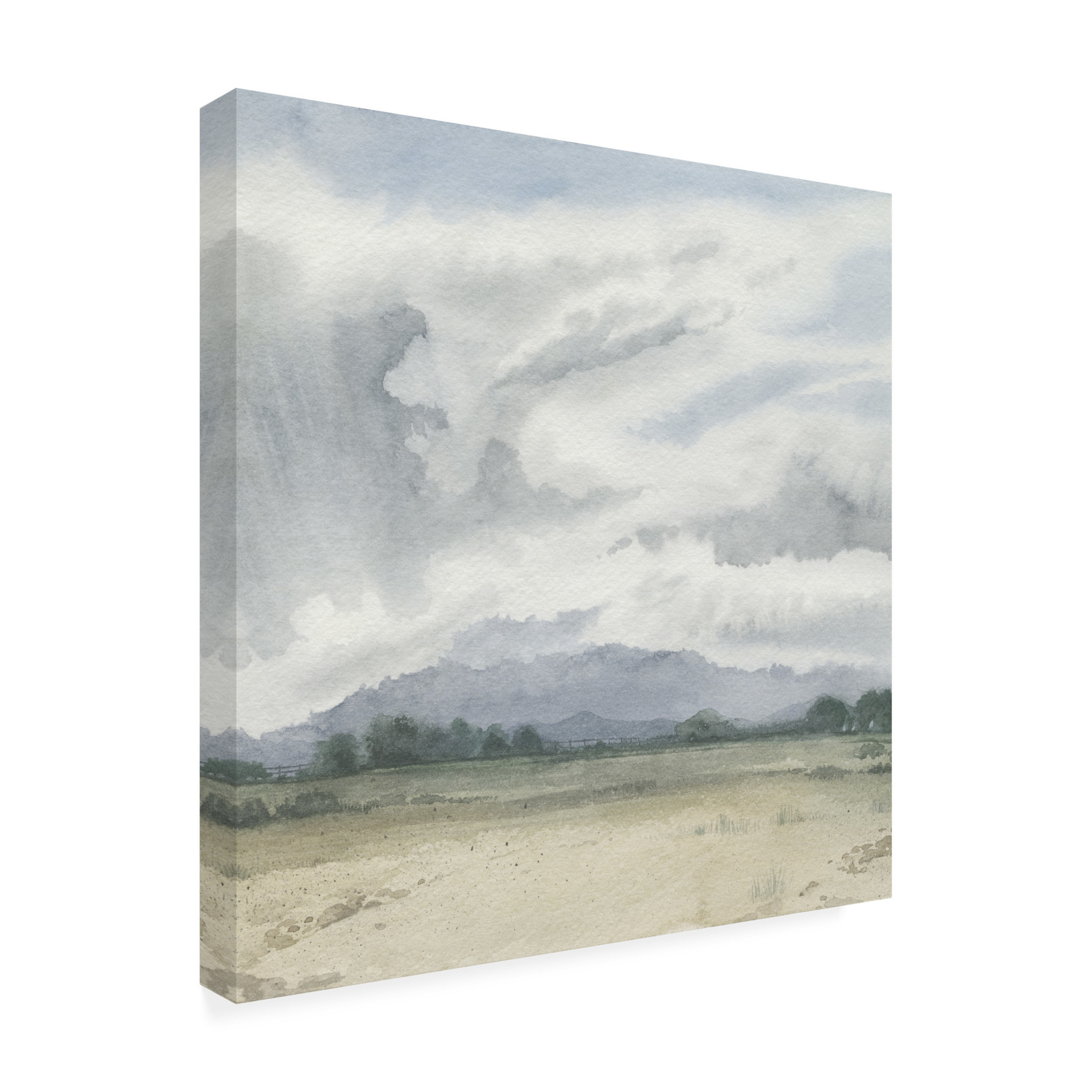 Trademark Fine Art Grace Popp Shadows of a Storm II Canvas Wall Art