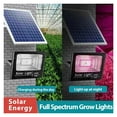 thumbnail image 2 of Solar LED Grow Light Full Spectrum Floodlight Plant Growing Light With Remote Waterproof Phytolamp For Indoor Outdoor Plants ,Excellent Full Spectrum, 2 of 6