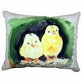 thumbnail image 2 of Betsy Drake ZP378 Dicks White Ibis Extra Large Zippered Pillow, 2 of 4