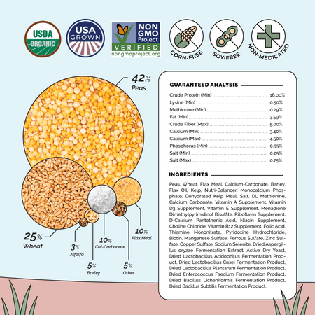 Layer Chicken Feed
