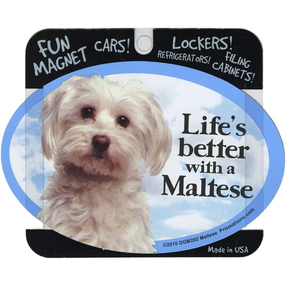Prismatix Dog and Cat Maltese Oval Dog Magnet – 6 x 4 in, Full Color