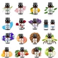 thumbnail image 3 of Recharge d'Huile Parfumée d'Aromathérapie pour Voiture 10 ml, Parfums Floraux et Fruités Longue Durée pour Hommes et Femmes, Options Multi-Parfums pour Diffusion en Voiture et à la Maison, 3 of 8