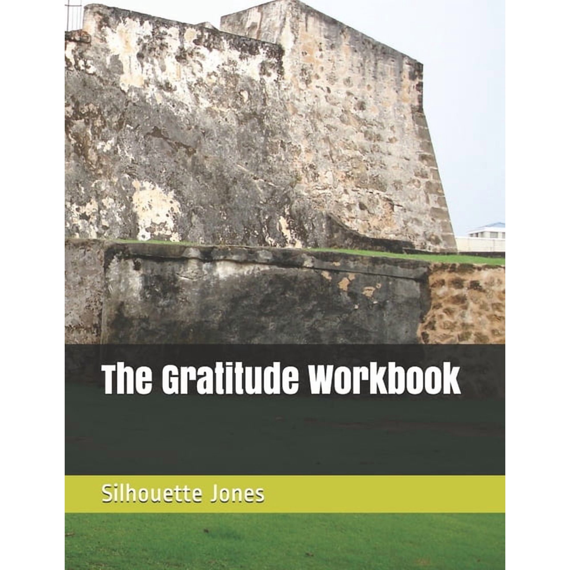 The Gratitude Workbook (Paperback)
