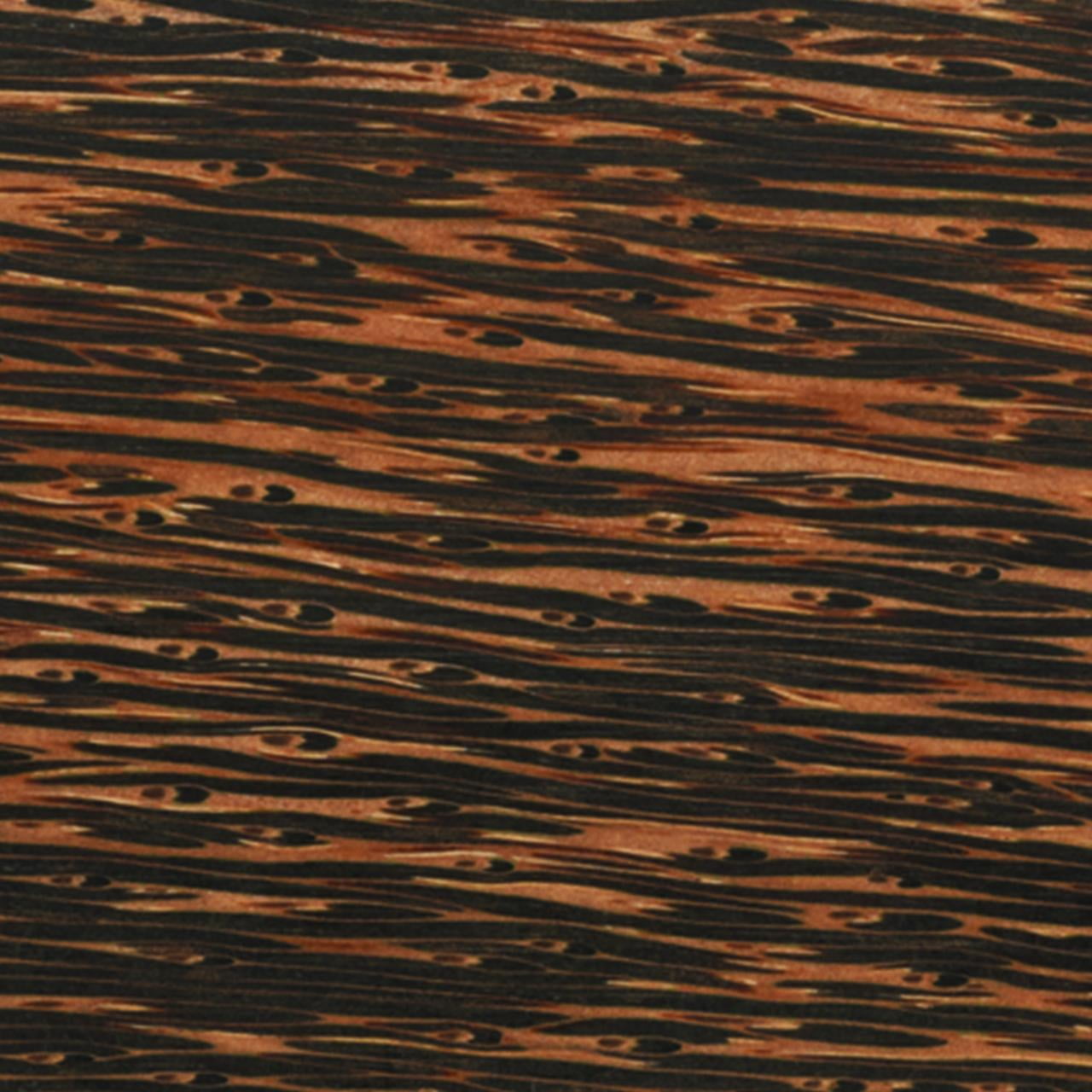 Black Palm 1.5' x 1.5' x 18'