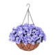 thumbnail image 5 of Matsuzay Cestas de flores colgantes exquisitas y de moda para colgar en la decoración del patio del hogar ahorra espacio azul 65cm 2Conjunto, 5 of 6