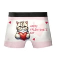 thumbnail image 2 of Happy Valentine's Day Exotic Shorthair Brings Love Heart All Over Print Boxer Briefs Underwear for Men Dad Cat Lover Kitten Owner Gifts - 02028, 2 of 6