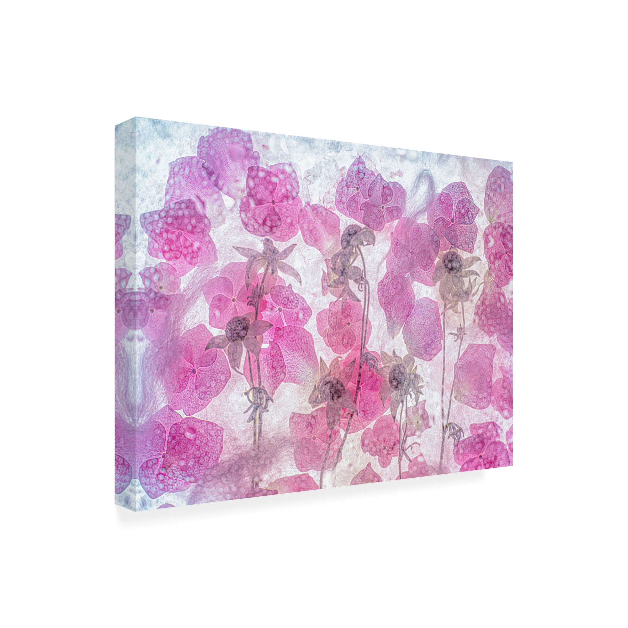 Trademark Fine Art Miharu dream of spring Canvas Wall Art