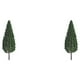 thumbnail image 1 of Modelo de árbol en miniatura Injueey 9.5 cm 2Conjunto, 1 of 6