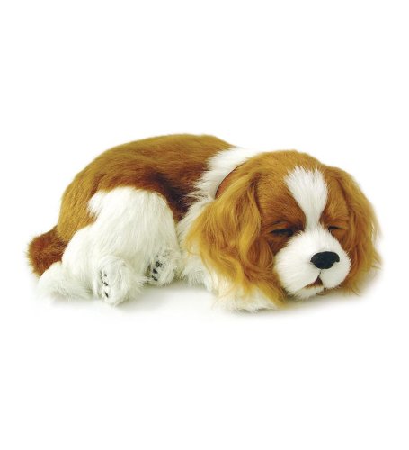 cavalier king charles soft toy