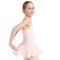 thumbnail image 3 of Capezio Tutu Dress - Girls, 3 of 6