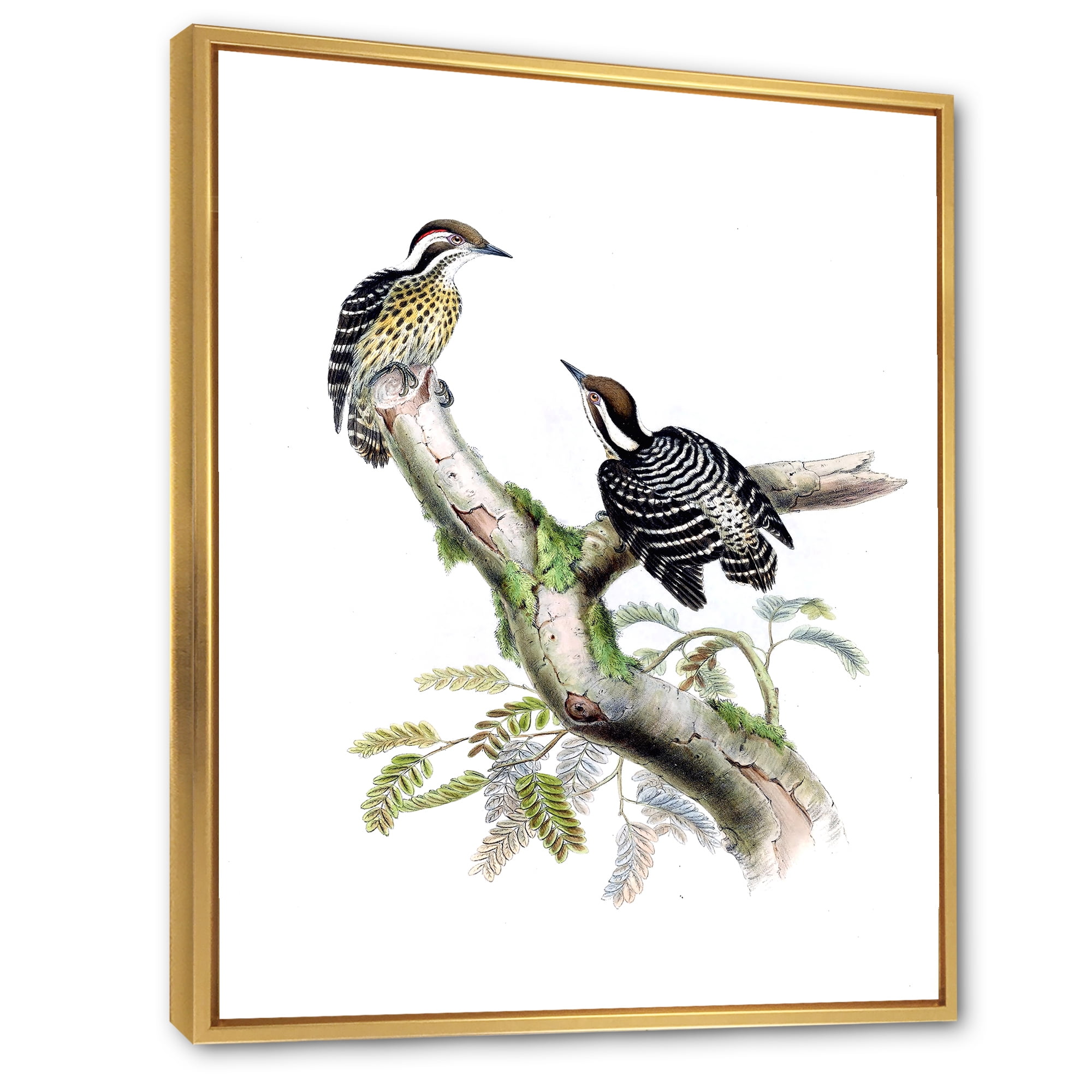 Designart 'Ancient Birds In The Wild VIII' Traditional Framed Canvas Wall Art Print