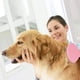 thumbnail image 5 of Cepillo de belleza para mascotas, productos para mascotas, edición europea, verano, 1 Uds. oso de fresa Electrónica, 5 of 5