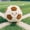 Brown, variant on 25cm Soft Fuzzy Smiling Football Plush Pillow, Color Block Soccer Ball Stuffed Decor Cushion for Sports Fan Home Display & Holiday Gift
