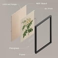 thumbnail image 4 of PixonSign Framed Wall Art, Vintage Colorful Wildflower Posters, Set of 4 Variety Floral Wall Decor Prints, Nature Flower Market Wall Décor for Living Room, Bedroom, Framhouse - 8"x10" Black, 4 of 5
