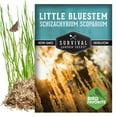 thumbnail image 2 of Little Bluestem Seeds - Perennial Full Sun Native Grass - 5 Packs, 2 of 9
