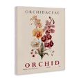 thumbnail image 2 of Stupell Industries Minimalist Natural Orchid Bundle Canvas Art, 30 x 40, by Christopher Giampietro, 2 of 8