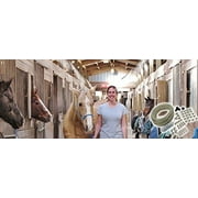 Mist Cooling MC600DIY Outdoor Patio Cooling System- Do It Yourself Misting System for Cooling Stables Porches, Backyard & Cattle Sheds