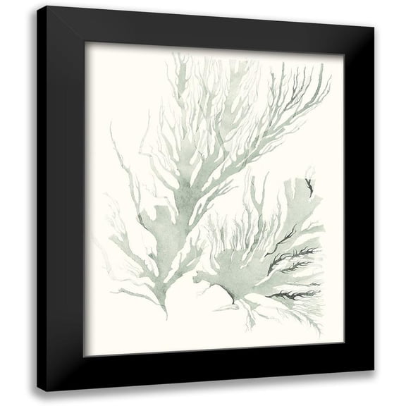 Vision Studio 12x14 Black Modern Framed Museum Art Print Titled - Sage Green Seaweed IV