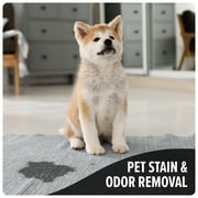 Dirt Devil Pet Carpet Cleaner Solution, Tropical Breeze, for Carpets and Rugs, Removed Pet Stains and Pet Odors, Powerful Cleaning, AD31926, 64 oz.