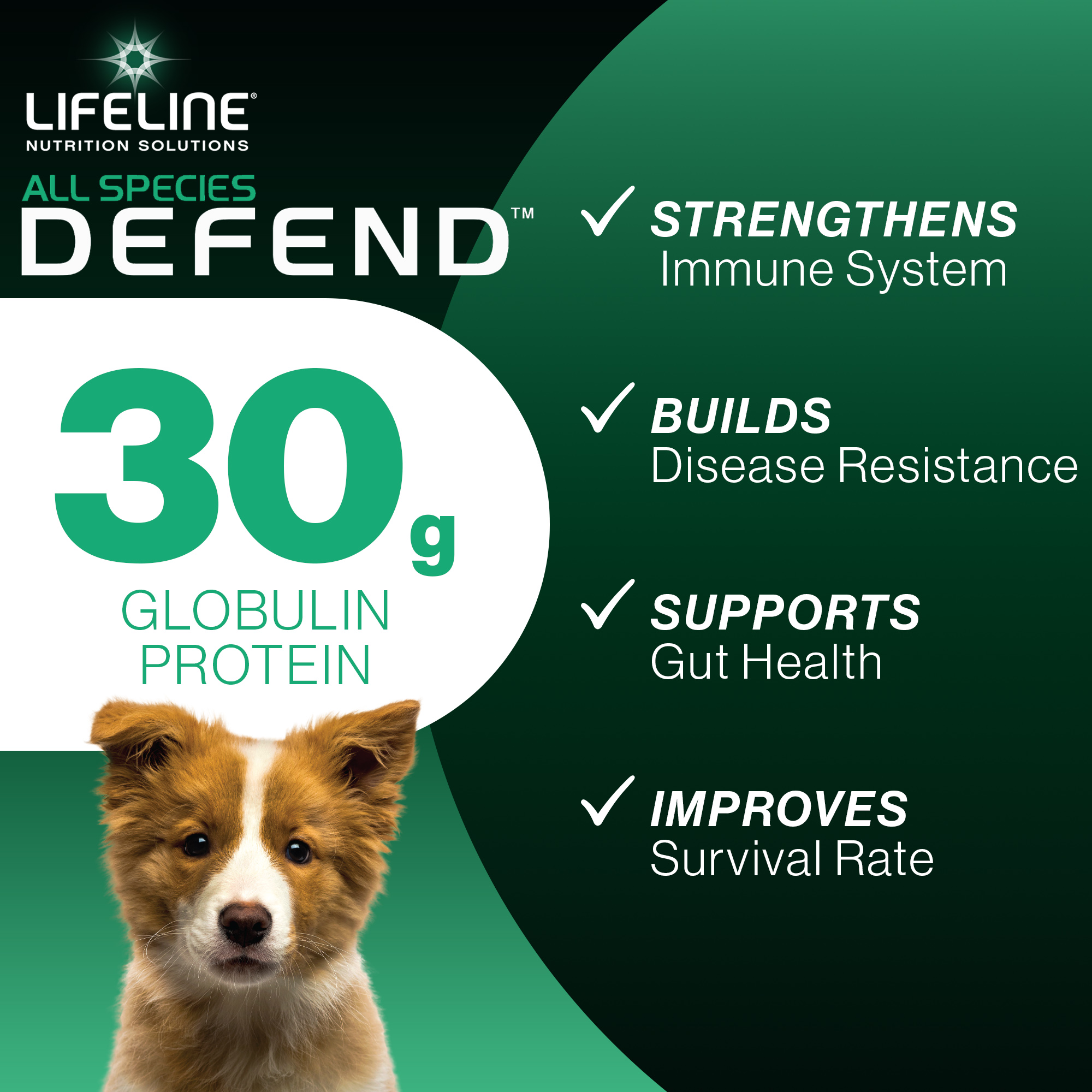 ANNUSO LIFELINE Defend All Species Colostrum Supplement, 1lb Bag - 30g Globulin Protein - Prebiotics, Immune & Gut Support - For Lambs, Kids, Piglets, Puppies, Kittens - Easy Mix Serum-Based Formula