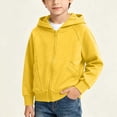 thumbnail image 5 of Tsivenald Boys Zip up Hoodie Fleece Long Sleeve Full Zip Hooded Sweatshirts for Kids (2-3 Years), 5 of 6