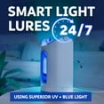 thumbnail image 4 of Zevo Max Flying Insect Indoor Fly Trap: Easy, Mess-Free Solution - Light Trap Catches & Kills House Flies, Fruit Flies, Gnats, & More (1 Plug in Device & 2 Cartridges), 4 of 12