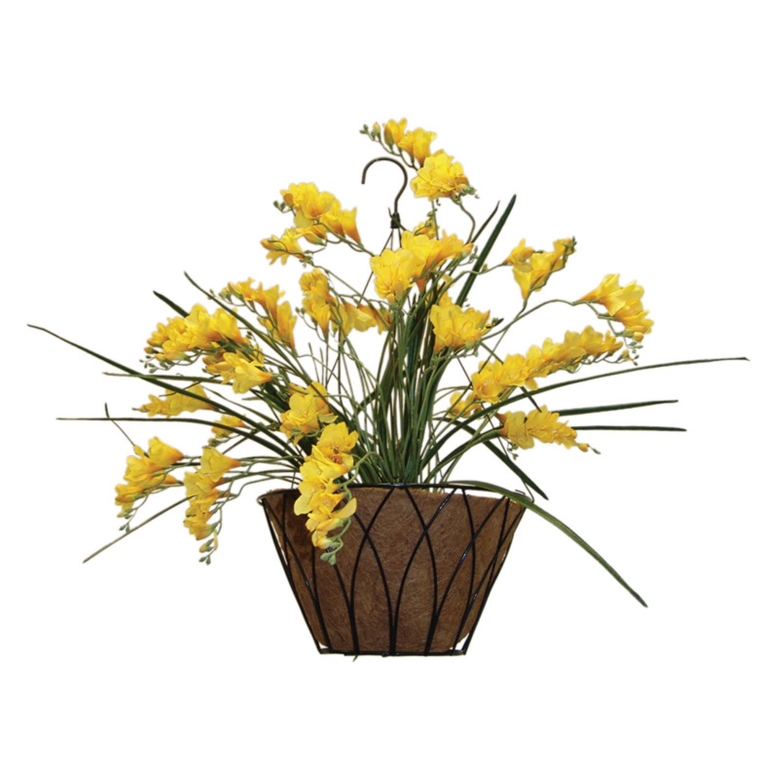 Austram Black Lotus Hanging Planter With Chain by Austram