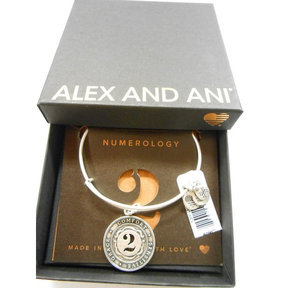 Alex and Ani Number 2 Charm Bangle