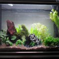 thumbnail image 2 of Adorno de acuario con esqueleto de calavera pirata, cueva para esconder peces para decoración de pecera, 2 of 5