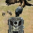 thumbnail image 4 of IP66 Hunting Camera 0.2s Trigger Speed Night Vision Trail Camera for Wildlife Monitoring, 4 of 9