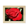 thumbnail image 1 of Rosas Flores Escritorio de madera Arte Pintura 6x8 pulgadas marco de foto Unbranded, 1 of 4