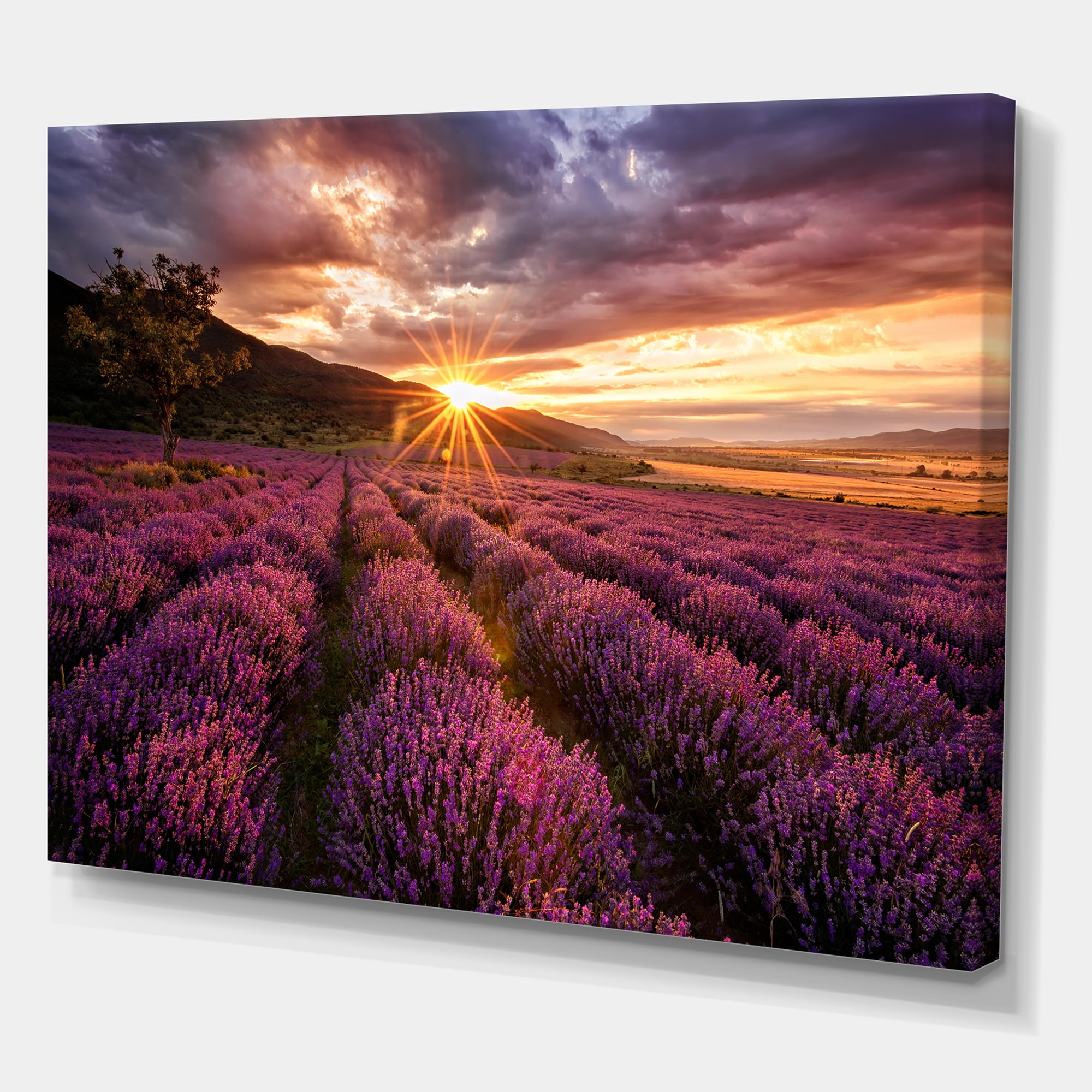 Designart ' Dramatic Clouds and Sunrise Over Lavender Field IV ' Farmhouse Canvas Wall Art Print