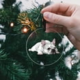 thumbnail image 5 of WIRESTER Large 3 inch Acrylic Ready to Hang Ornament, Hanging Ornaments for Christmas Tree Holidays Party Home Office Xmas Tree Decoration Gift - French Bulldog Dog Lying Down Looking Up, 5 of 6