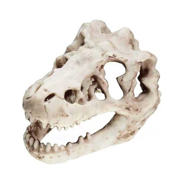 Billuyoard Adorno para acuario, paisajismo, hueso de resina, decoración acuática, pecera Artificial espeluznante, caja de reptil de simulación, Type3 NO3