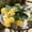 Yellow, variant on JUSEO Artificial Narcissus Daffodil 3 Stems 10 Heads Each Spring Table Centerpiece Home Decor White