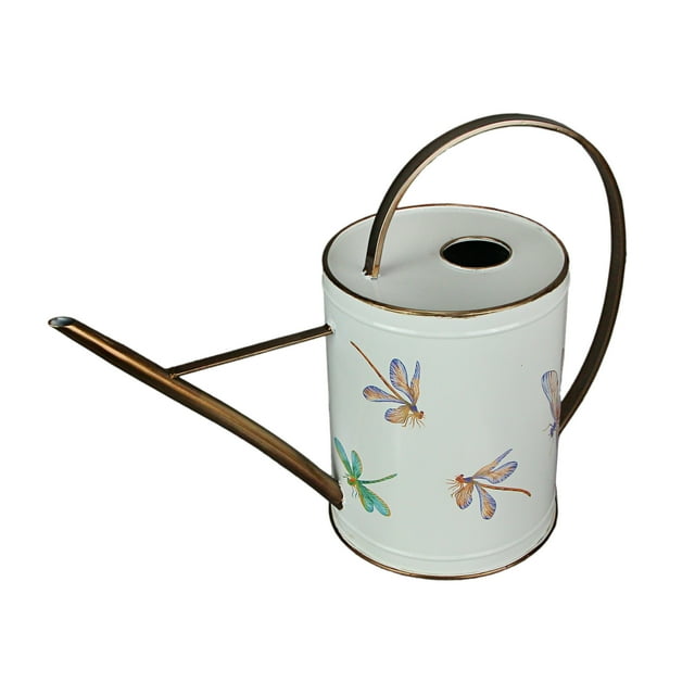 Metal Vintage Enamel Dragonfly Watering Can Decorative Outdoor Plant Water Pitcher
