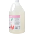 thumbnail image 2 of Ginger Lily Farms Botanicals All-Purpose Foaming Hand Soap Refill, 100% Vegan & Cruelty-Free, Vanilla Sugar Bliss Scent, 1 Gallon (128 fl oz), 2 of 6