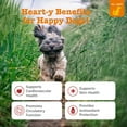 thumbnail image 3 of Zesty Paws Cardio Bites for Dogs, for Heart Function, Salmon 90ct, 3 of 13