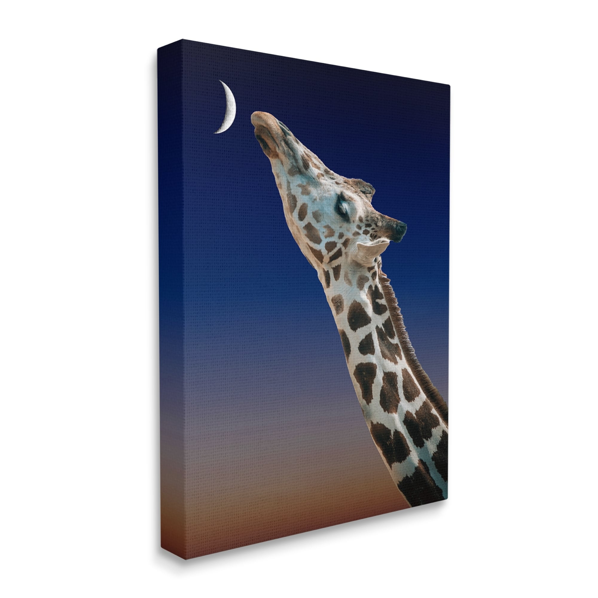 Stupell Industries Giraffe Kissing Moon Nighttime Sunset Beautiful Portrait , 16 x 20, Design by Atelier Posters