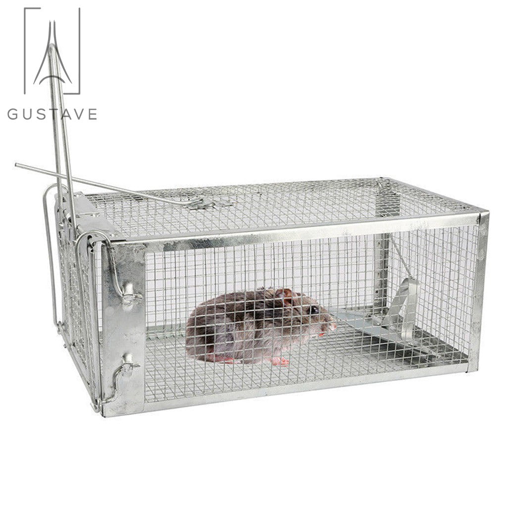 Victorian Mouse Live Trap Wire Cage Humane Trap 