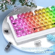 ZIYOU LANG M95 Transparent Membrane Wired Keyboard with Clear Keycap & Rainbow RGB Backlit, White