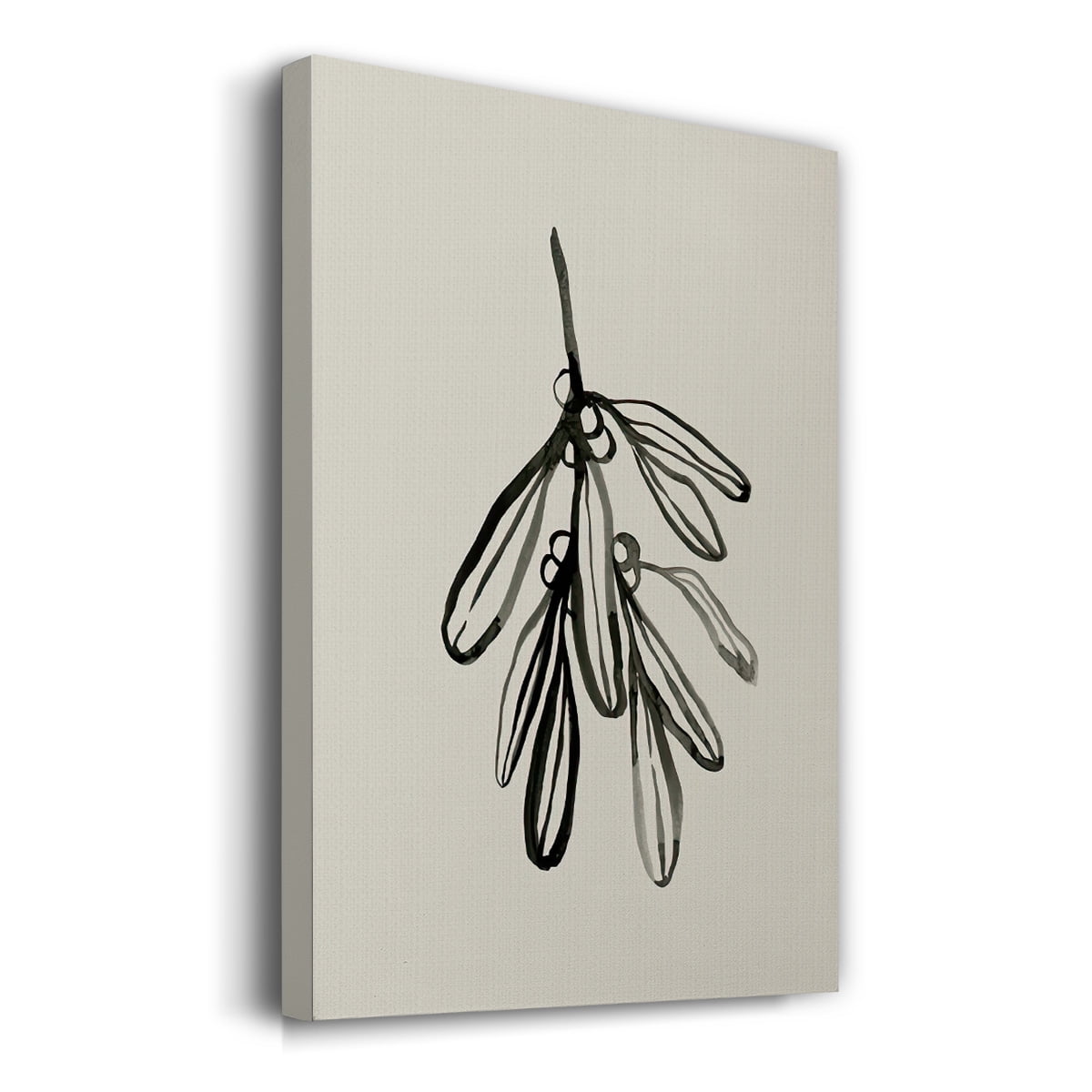 Mistletoe Sketch I- Gallery Wrapped Canvas