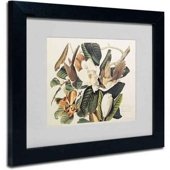 Trademark Fine Art Ornithology Matted Framed Art ' Black-Billed Cuckoo ' by John James Audubon