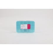 (2 pack) Everything Mary 10 Compartment Plastic Bead Storage Box, Teal (Single)