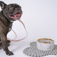 thumbnail image 5 of Dexypaws: Marble Dog Bowl: Gray & Gold Accent - 6.3" Diameter, Stylish & Functional Pet Feeding Dish, Food & Water, Safe & Non-Toxic, Durable, 5 of 7