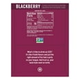 thumbnail image 3 of IZZE Flavored Sparkling Juice Beverage Blend, Blackberry, No Sugar Added, 8.4 fl oz. 6 Cans, 3 of 6