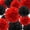 Black Red, variant on Pink and Blue Tissue Paper Pom Poms 12Pcs- Hanging Paper Flowers for Wedding Gender Reveal Birthday Graduations Christmas and Special Occasions(8 &10 & 12 inch)